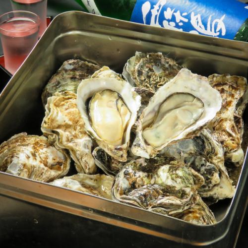 6 steamed oysters