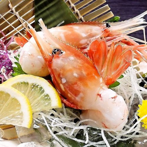 甘海老の刺身