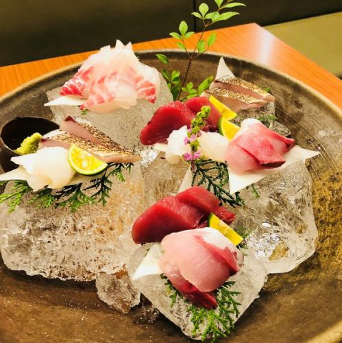Please enjoy fresh fish from Wakayama's morning harvest!