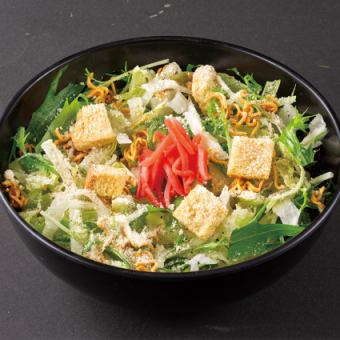 Dotonbori salad