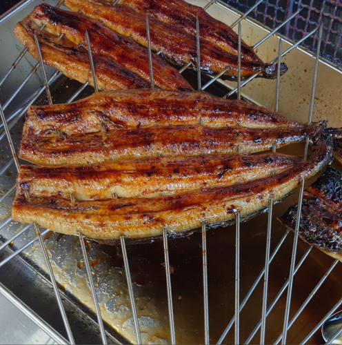 Grilled eel