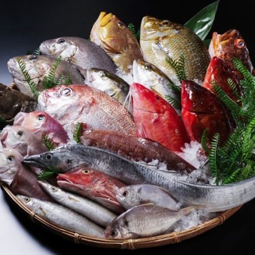 豊洲市場直送、全て天然の魚介類