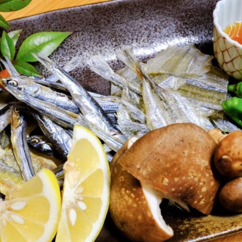 魚架“岡本海鮮店”的干魚