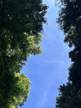 おはようございます。