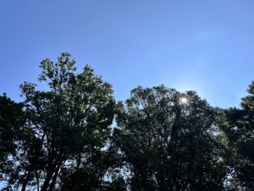 おはようございます。