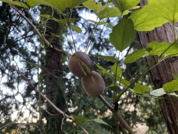 こんにちは。