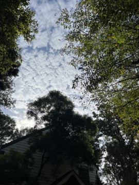 おはようございます。