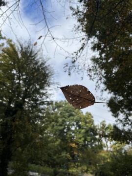 おはようございます。