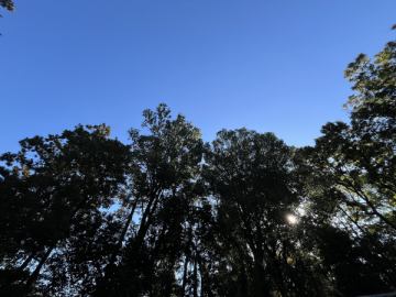 おはようございます。