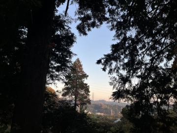 おはようございます。