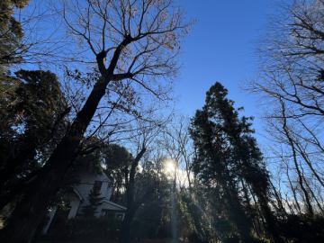 おはようございます。