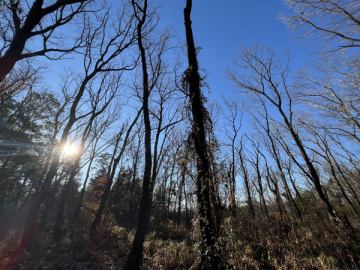 おはようございます。