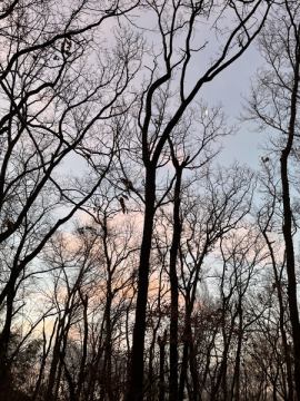 おはようございます。