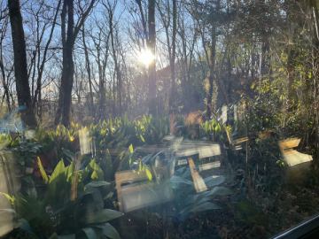 今週もありがとうございました。