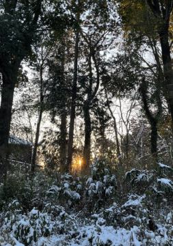 おはようございます。