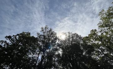 おはようございます。