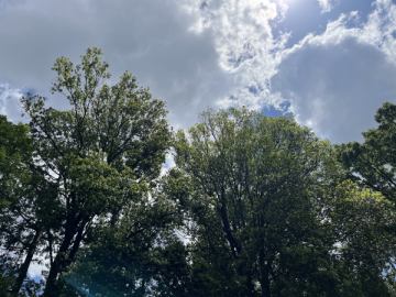 今週もありがとうございました。(火曜日定休)