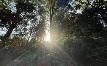 おはようございます。