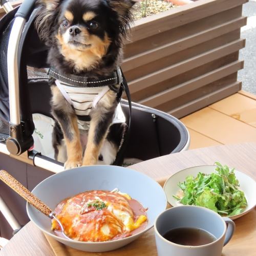 ペット同伴可能なテラス席