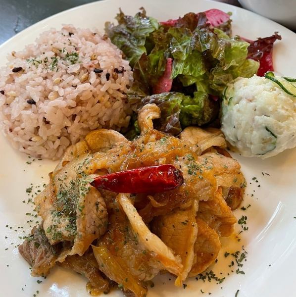 Various lunches that change with the seasons