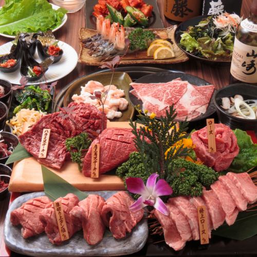 [Specially Selected Plan] 15 dishes in total, including rare cuts of Japanese Black beef steak and grilled shabu-shabu! All-you-can-drink plan for 3 people or more