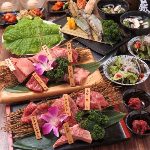 飲み放題付きコース