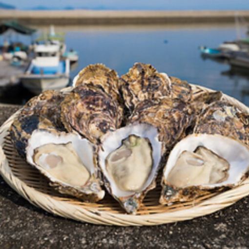 2時間飲み放題付き★生牡蠣、焼き牡蠣、カキフライ食べ放題5500円(税込)