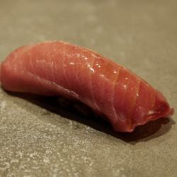 Medium Toro