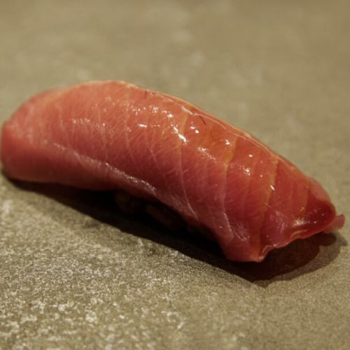 Medium Toro