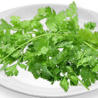 パクチー