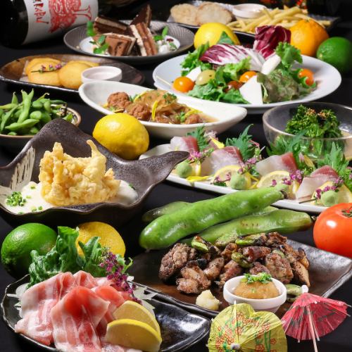 【4月】和彩 “わさい” コース4,500円（税込）☆飲み放題付き