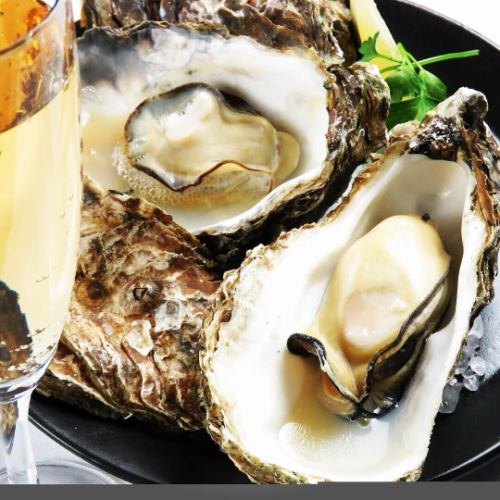 お盆中は沢山のご来店、誠にありがとうございました😊
牡蠣🦪のご注文が多く、品切れにもなりましたが💦本日大量に仕入れております✊ ̖́-
当店の牡蠣は堀口海産様より仕入れており、広島市がブランド認定した安全で、高品質の牡蠣なのです☝️

#hiroshimaitalianao #ヒロシマイタリアンao #Hiroshimaitalian #広島イタリアン #広島グルメ #仏壇通り #結婚式二次会 #二次会 #女子会 #誕生日会 #お誕生日プレート #貸切 #hiroshima #広島 #広島ランチ #広島ハッピーアワー #広島バー #広島県産 #地産地消 #バーニャカウダ #広島チーズフォンデュ #比婆牛 #ヴィーガン #vegan #ヴィーガン対応メニューあります #広島ラクレットチーズ #広島シカゴピザ #ウェディングパーティ #広島牡蠣 #牡蠣料理