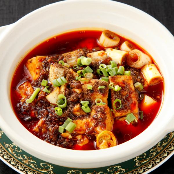 Authentic Sichuan-style mapo tofu