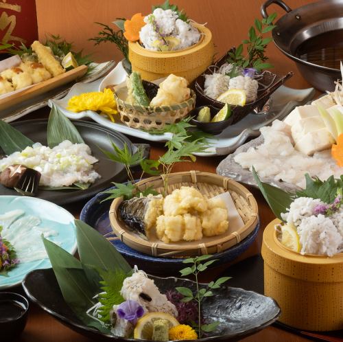 仅限7月/8月“Hamo Fair”