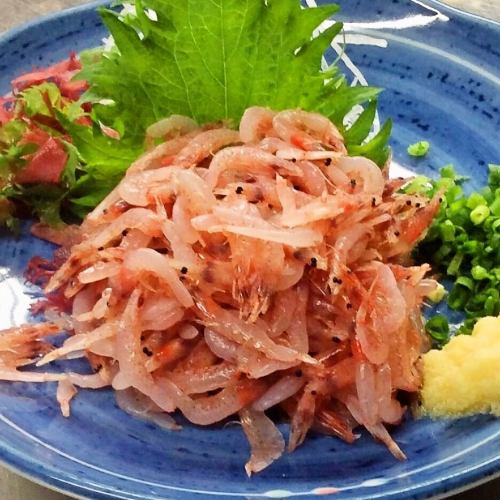 Fresh sakura shrimp (seasonal!)