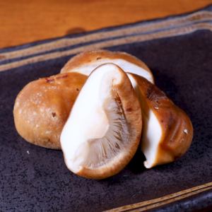 しいたけ