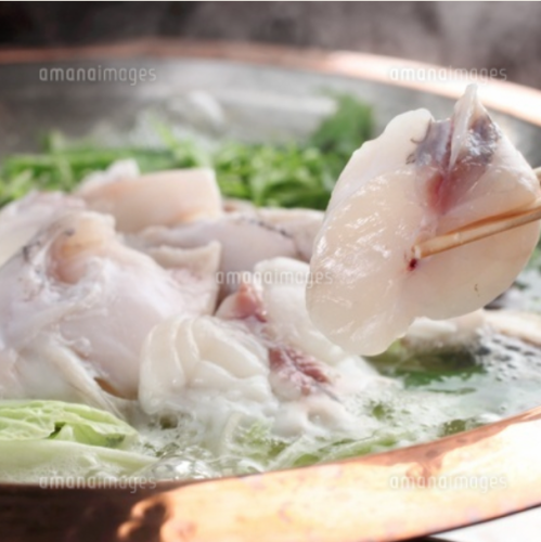 【冬期限定】お鍋のコース