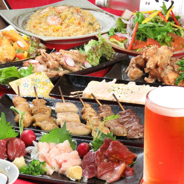 【プレミアム】串揚げ・焼鳥種類180種2500円【+1000円飲み放題付可】