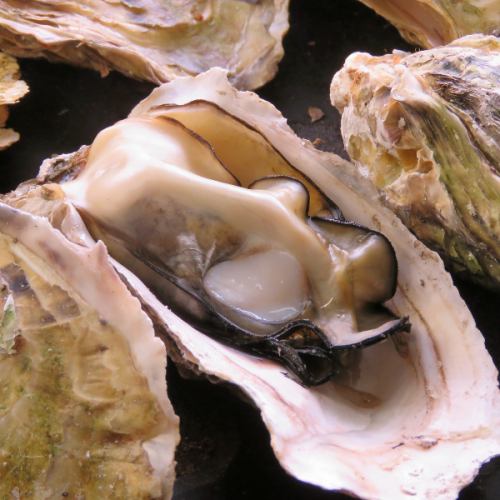 <p>Grilled oysters, which can only be enjoyed in the cold winter, are available for a limited time only! Be sure to enjoy Kagawa&#39;s grilled oysters, which are loved by locals!</p>