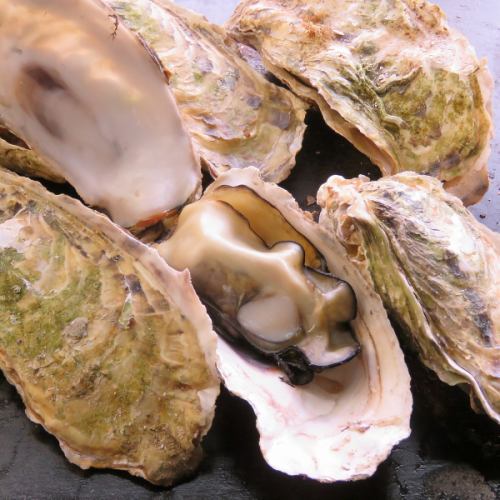 今年も牡蠣シーズン始まりました！！今年の牡蠣はこぶりに見えますが身がぎっしりでクリーミー◎