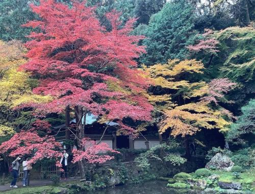 本日は11時より通常営業スタートしております。#紅葉🍁シーズンなので、過去に撮った写真は2019年、#京都　の　#南禅寺　あたり
の紅葉をどうぞ。#地図を広げて #地図　#紅葉スポット #琵琶湖疎水 #秋　#駒沢