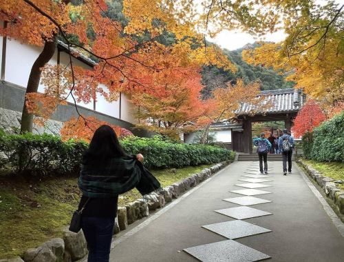 本日は11時より通常営業スタートしております。#紅葉🍁シーズンなので、過去に撮った写真は2019年、#京都　の　#南禅寺　あたり
の紅葉をどうぞ。#地図を広げて #地図　#紅葉スポット #琵琶湖疎水 #秋　#駒沢