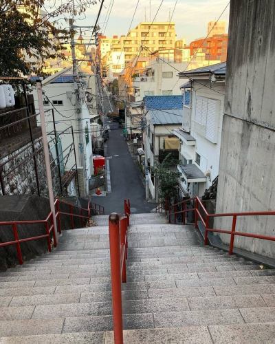 🧭【本日のご紹介📚＋ご来店のご案内】

🚶‍♂️「階段を降りると、ちょっと異世界。」

東京には“味のある階段”が126もあるって知ってました？
その一段一段に、都市の裏側や記憶が刻まれてるんです。

今日ご紹介するのは、『東京の階段』（松本泰生 著）。
何気なく通りすぎていたあの坂道も、見方を変えれば「名所」に。
住宅街のすき間、ビル群の裏、そして——

👣 駒沢のあの階段を降りた先にも、ちょっと不思議な空間が。

＼📍今日もお店オープンしてます／
ぜひこの“地形の異空間”を体験しに来てください！
#東京の階段 #都市の異空間 #段差萌え 
#階段マニア #路地裏探検 #駒沢の階段 #地理カフェ 
#隠れスポット #昭和レトロ #階段のある風景 #地形萌え 
#地理カフェ　#駒沢カフェ　#駒沢大学駅グルメ