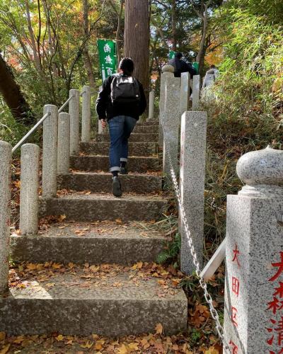 🧭【本日のご紹介📚＋ご来店のご案内】

🚶‍♂️「階段を降りると、ちょっと異世界。」

東京には“味のある階段”が126もあるって知ってました？
その一段一段に、都市の裏側や記憶が刻まれてるんです。

今日ご紹介するのは、『東京の階段』（松本泰生 著）。
何気なく通りすぎていたあの坂道も、見方を変えれば「名所」に。
住宅街のすき間、ビル群の裏、そして——

👣 駒沢のあの階段を降りた先にも、ちょっと不思議な空間が。

＼📍今日もお店オープンしてます／
ぜひこの“地形の異空間”を体験しに来てください！
#東京の階段 #都市の異空間 #段差萌え 
#階段マニア #路地裏探検 #駒沢の階段 #地理カフェ 
#隠れスポット #昭和レトロ #階段のある風景 #地形萌え 
#地理カフェ　#駒沢カフェ　#駒沢大学駅グルメ
