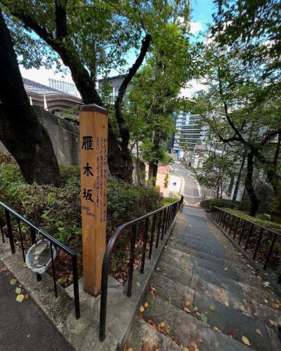 🧭【本日のご紹介📚＋ご来店のご案内】

🚶‍♂️「階段を降りると、ちょっと異世界。」

東京には“味のある階段”が126もあるって知ってました？
その一段一段に、都市の裏側や記憶が刻まれてるんです。

今日ご紹介するのは、『東京の階段』（松本泰生 著）。
何気なく通りすぎていたあの坂道も、見方を変えれば「名所」に。
住宅街のすき間、ビル群の裏、そして——

👣 駒沢のあの階段を降りた先にも、ちょっと不思議な空間が。

＼📍今日もお店オープンしてます／
ぜひこの“地形の異空間”を体験しに来てください！
#東京の階段 #都市の異空間 #段差萌え 
#階段マニア #路地裏探検 #駒沢の階段 #地理カフェ 
#隠れスポット #昭和レトロ #階段のある風景 #地形萌え 
#地理カフェ　#駒沢カフェ　#駒沢大学駅グルメ