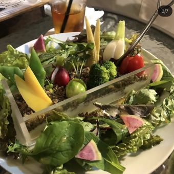 A Farmer's Salad with Selected Vegetables and an Edible Earth