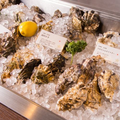 2026年2月21日REオープン