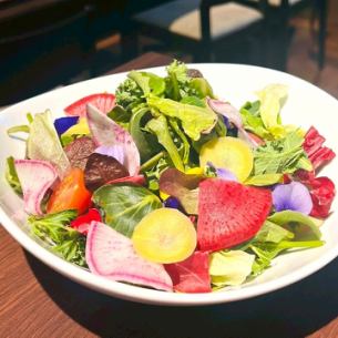 彩り野菜のサラダ　シャンパンのヴィネグレット