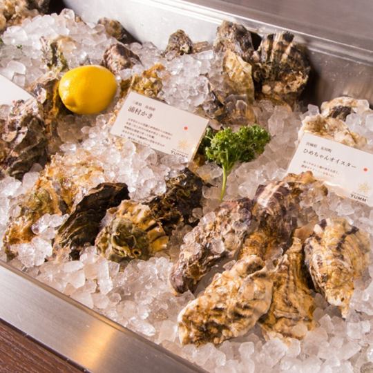 日本各地の海が育んだ、海の真珠。産地ごとの個性を愉しむ贅沢。