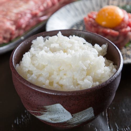ライス大